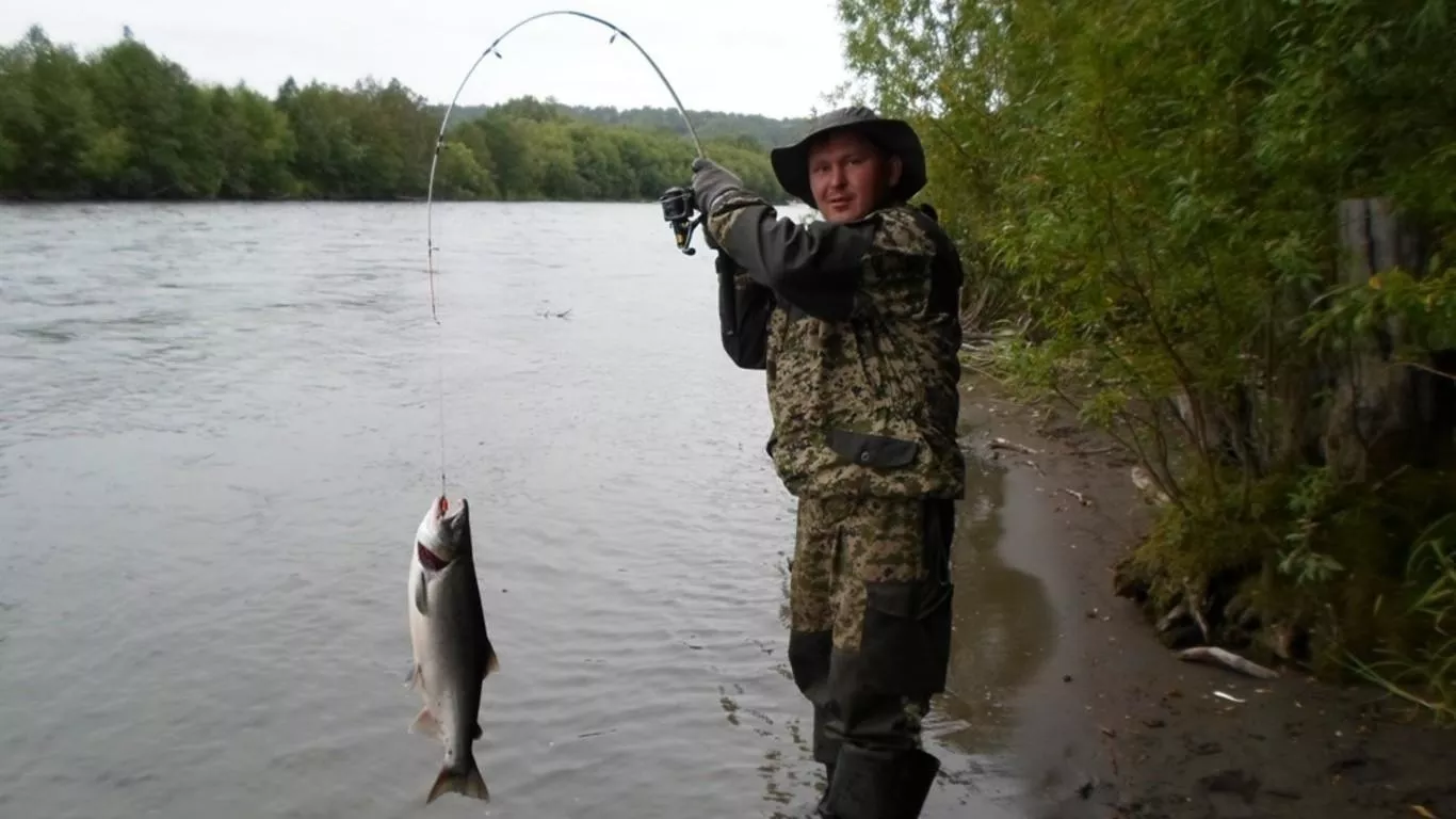 3 в 1. Рыбалка на реках Камчатка, Ича, Морская рыбалка. в Камчатском крае.  РСТ Тур | ☎ 8 (800) 551-32-30